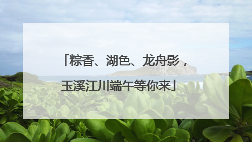 粽香、湖色、龙舟影，玉溪江川端午等你来
