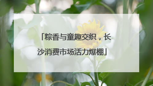 粽香与童趣交织，长沙消费市场活力爆棚