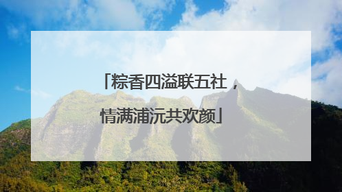 粽香四溢联五社，情满浦沅共欢颜