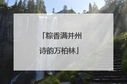 粽香满并州 诗韵万柏林