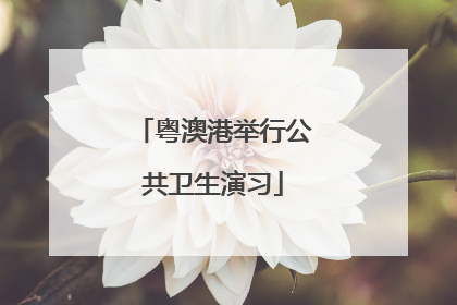 粤澳港举行公共卫生演习