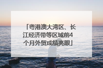 粤港澳大湾区、长江经济带等区域前4个月外贸成绩亮眼