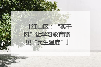 红山区：“实干风”让学习教育照见“民生温度”