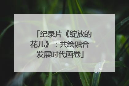 纪录片《绽放的花儿》：共绘融合发展时代画卷
