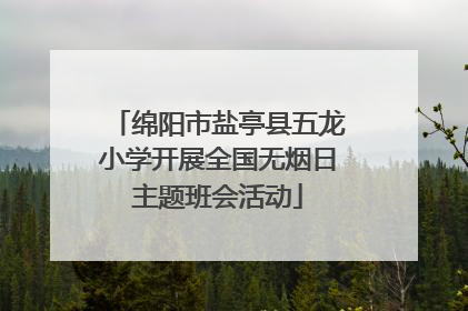 绵阳市盐亭县五龙小学开展全国无烟日主题班会活动