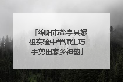 绵阳市盐亭县嫘祖实验中学师生巧手剪出家乡神韵