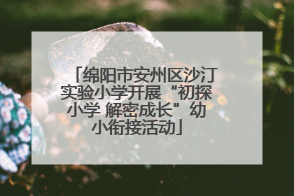 绵阳市安州区沙汀实验小学开展“初探小学 解密成长”幼小衔接活动
