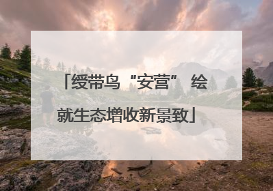 绶带鸟“安营” 绘就生态增收新景致