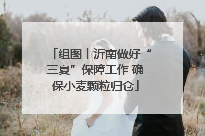 组图丨沂南做好“三夏”保障工作 确保小麦颗粒归仓