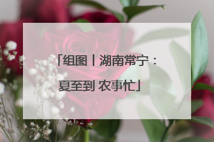 组图丨湖南常宁：夏至到 农事忙
