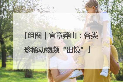 组图｜宜章莽山：各类珍稀动物频“出镜”