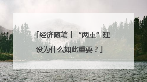 经济随笔丨“两重”建设为什么如此重要？