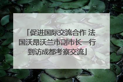 促进国际交流合作 法国沃昂沃兰市副市长一行到访成都考察交流