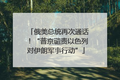 俄美总统再次通话！“普京谴责以色列对伊朗军事行动”