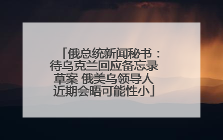 俄总统新闻秘书：待乌克兰回应备忘录草案 俄美乌领导人近期会晤可能性小