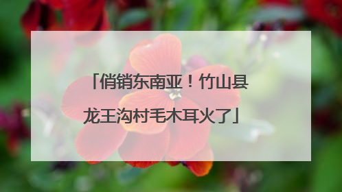 俏销东南亚！竹山县龙王沟村毛木耳火了