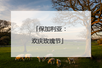 保加利亚：欢庆玫瑰节