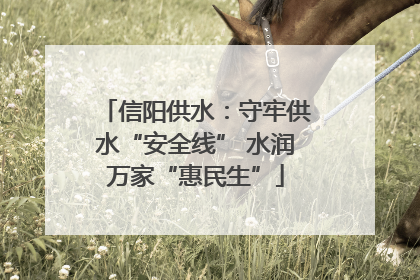 信阳供水：守牢供水“安全线” 水润万家“惠民生”