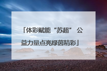 体彩赋能“苏超” 公益力量点亮绿茵精彩