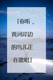 你听，黄河岸边的鸟儿正在歌唱