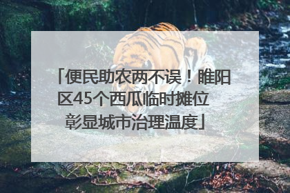 便民助农两不误！睢阳区45个西瓜临时摊位 彰显城市治理温度