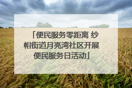便民服务零距离 纱帽街道月亮湾社区开展便民服务日活动