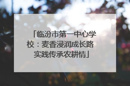 临汾市第一中心学校：麦香浸润成长路 实践传承农耕情