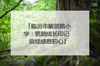 临汾市解放路小学：镌刻成长印记 赓续感恩初心