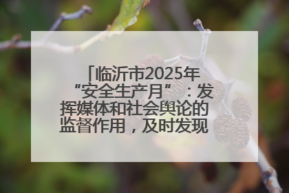 临沂市2025年“安全生产月”：发挥媒体和社会舆论的监督作用，及时发现并消除安全隐患