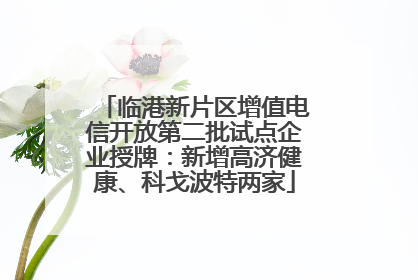 临港新片区增值电信开放第二批试点企业授牌：新增高济健康、科戈波特两家