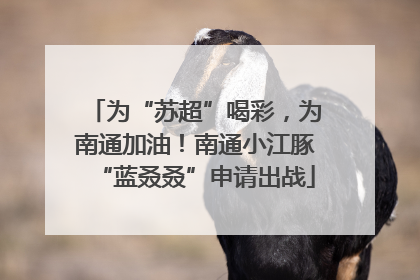 为“苏超”喝彩，为南通加油！南通小江豚“蓝叒叒”申请出战