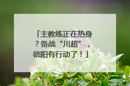 主教练正在热身？备战“川超”，德阳有行动了！