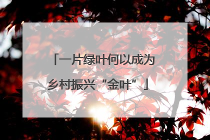 一片绿叶何以成为乡村振兴“金叶”