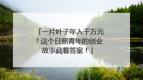 一片叶子年入千万元？这个日照青年的创业故事藏着答案！