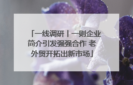一线调研丨一则企业简介引发强强合作 老外贸开拓出新市场