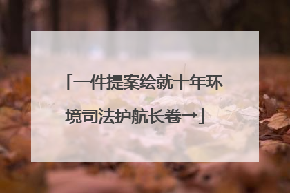 一件提案绘就十年环境司法护航长卷→