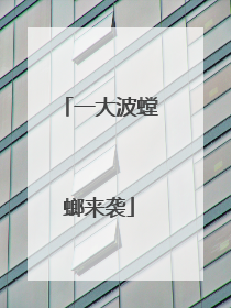 一大波螳螂来袭