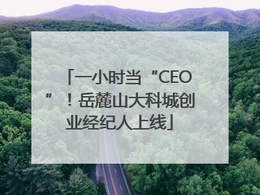 一小时当“CEO”！岳麓山大科城创业经纪人上线