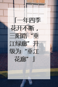 一年四季花开不断，三阳路“垂江绿廊”升级为“垂江花廊”
