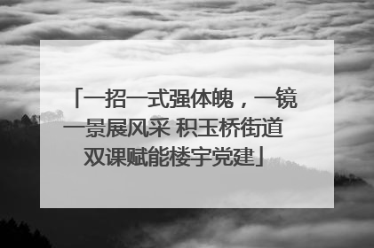 一招一式强体魄，一镜一景展风采 积玉桥街道双课赋能楼宇党建
