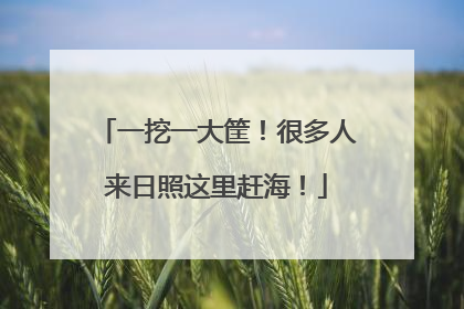 一挖一大筐！很多人来日照这里赶海！