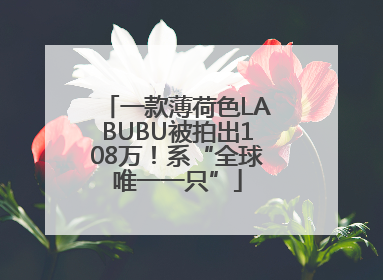 一款薄荷色LABUBU被拍出108万！系“全球唯一一只”