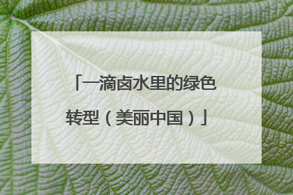 一滴卤水里的绿色转型（美丽中国）