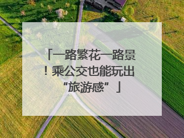 一路繁花一路景！乘公交也能玩出“旅游感”