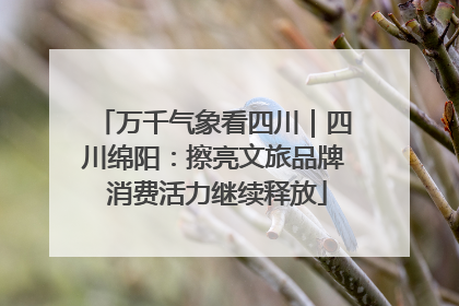 万千气象看四川｜四川绵阳：擦亮文旅品牌 消费活力继续释放