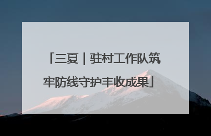 三夏｜驻村工作队筑牢防线守护丰收成果