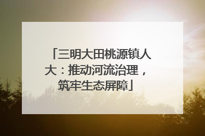 三明大田桃源镇人大：推动河流治理，筑牢生态屏障