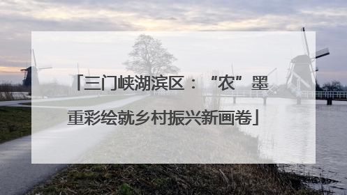 三门峡湖滨区：“农”墨重彩绘就乡村振兴新画卷