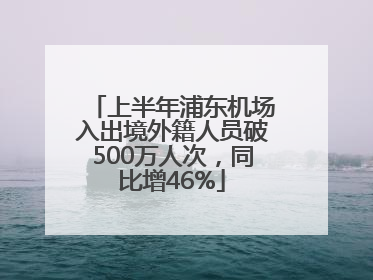 上半年浦东机场入出境外籍人员破500万人次，同比增46%
