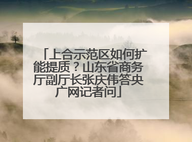 上合示范区如何扩能提质？山东省商务厅副厅长张庆伟答央广网记者问